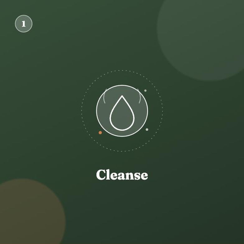 Cleanse